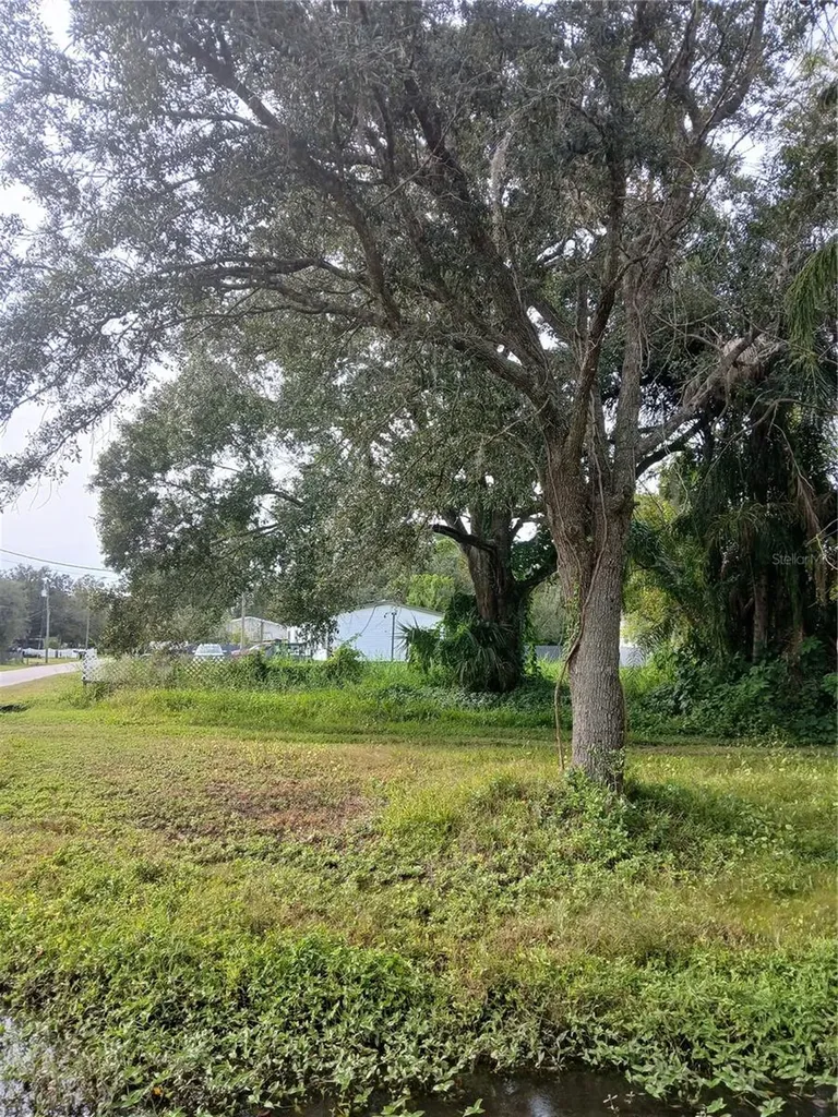 18565 N 16th Avenue E Orlando FL 32833