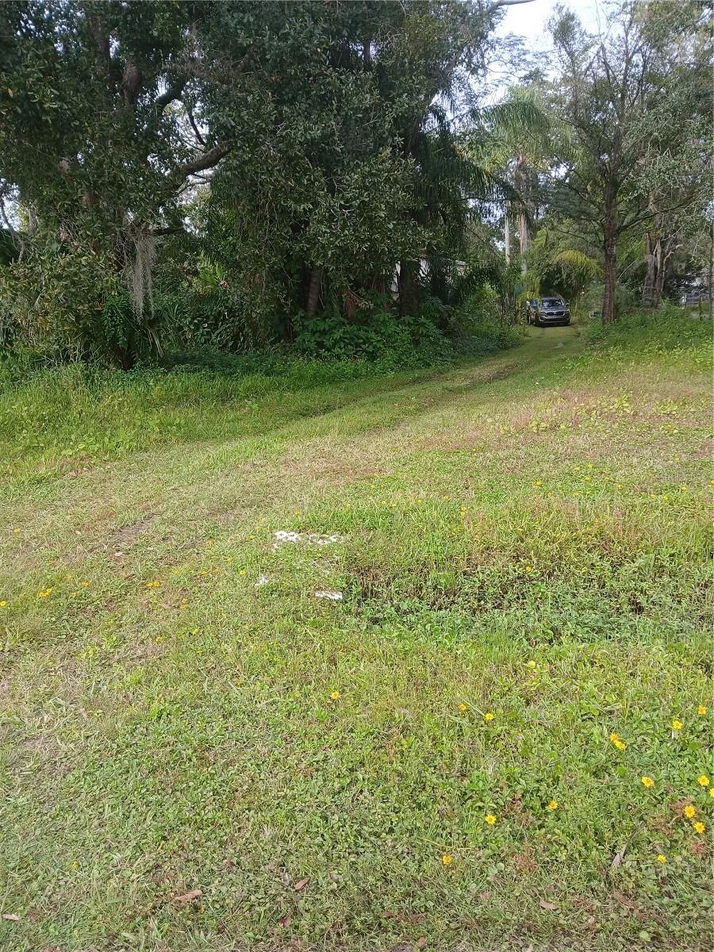 18565 N 16th Avenue E Orlando FL 32833