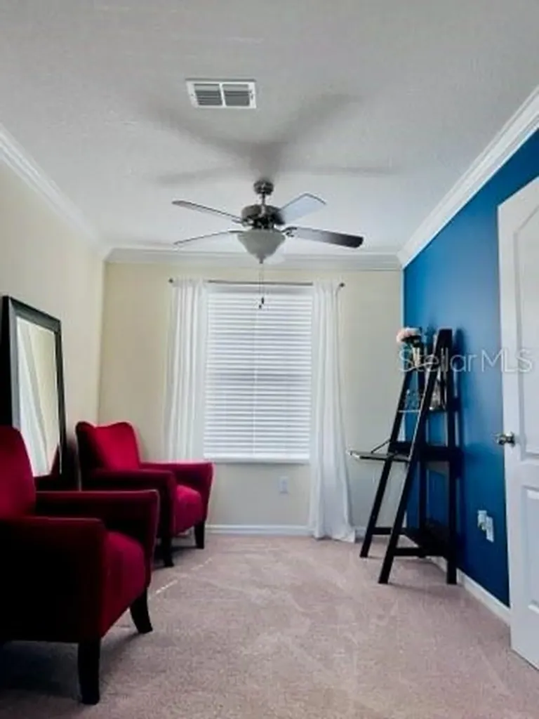 13913 Felix Will Road Riverview FL 33579