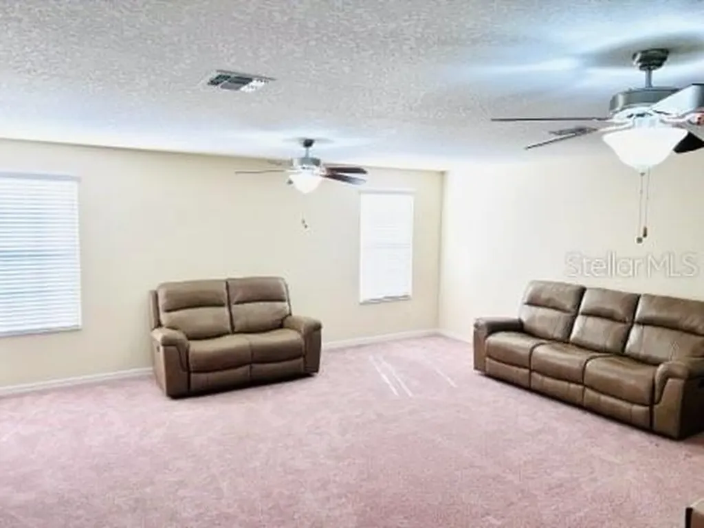 13913 Felix Will Road Riverview FL 33579