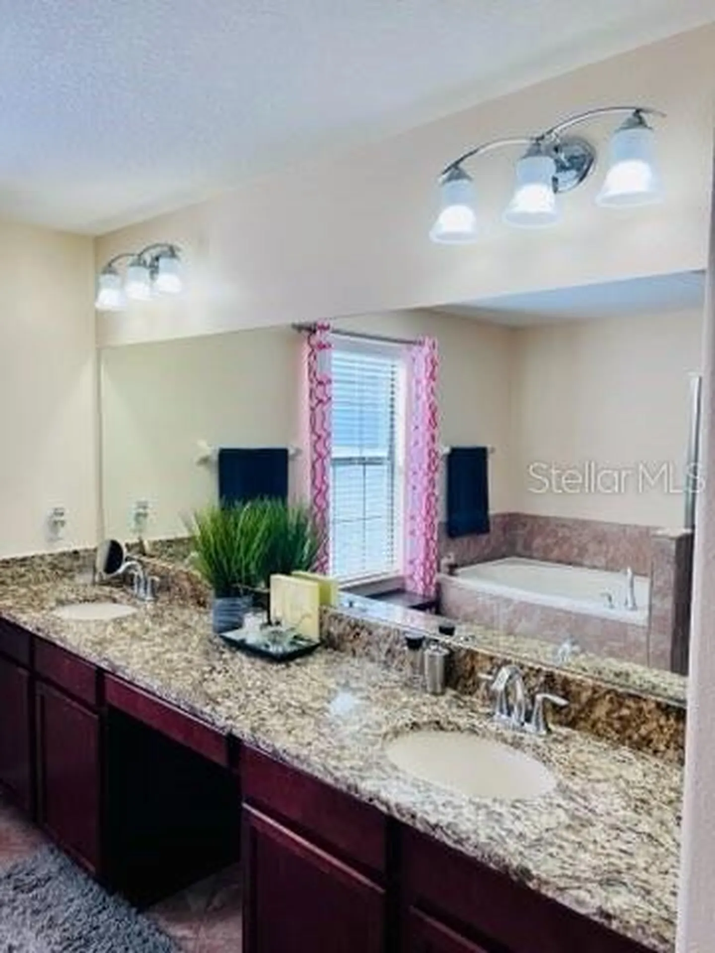 13913 Felix Will Road Riverview FL 33579