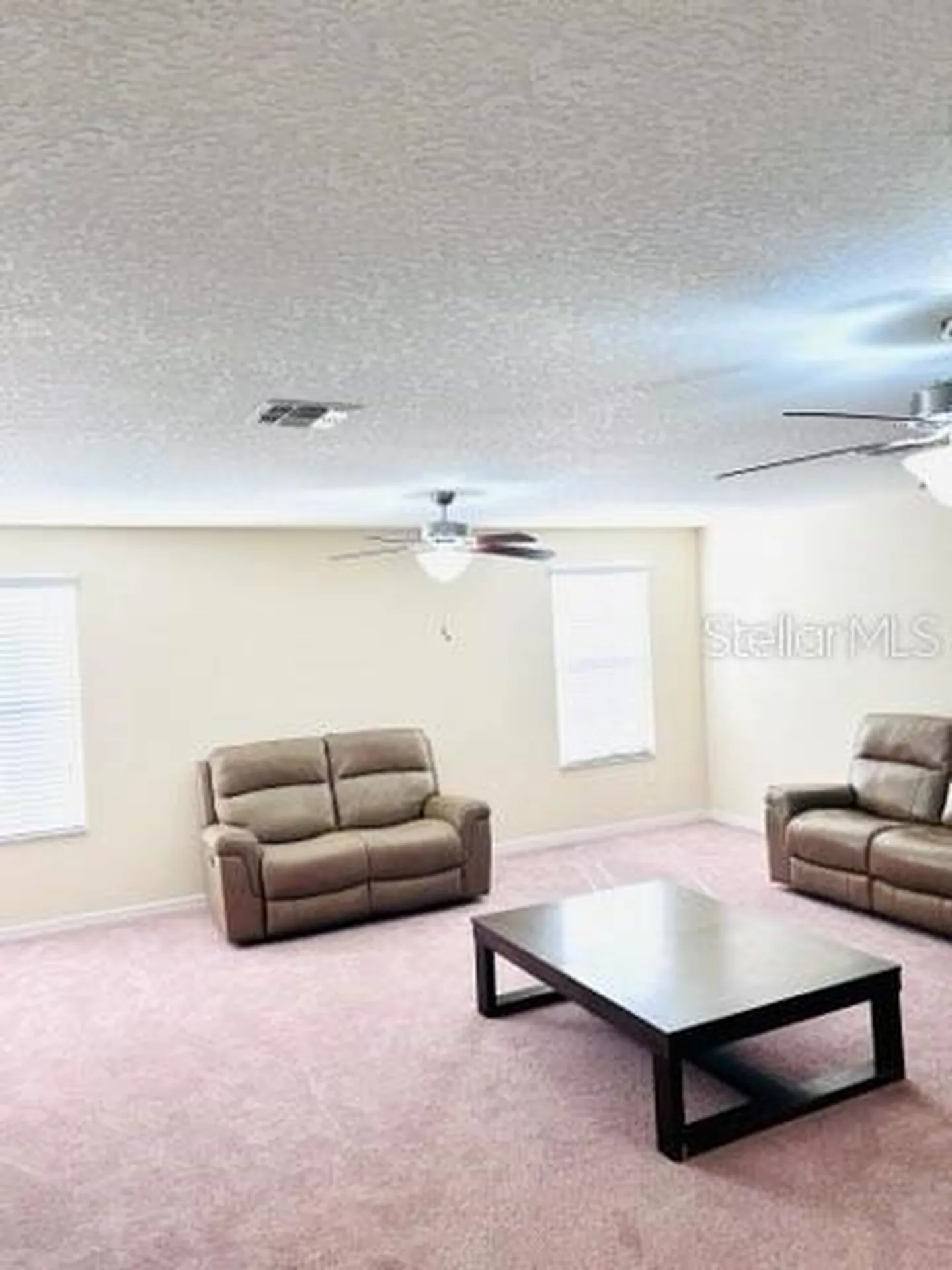 13913 Felix Will Road Riverview FL 33579