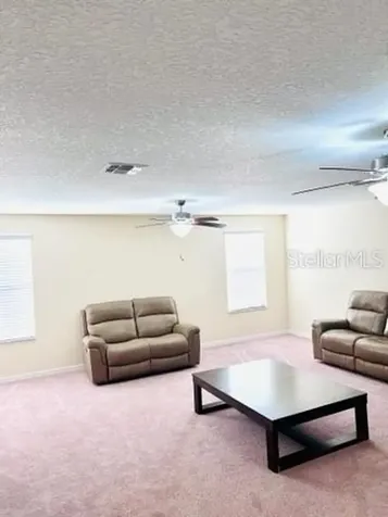 13913 Felix Will Road Riverview FL 33579