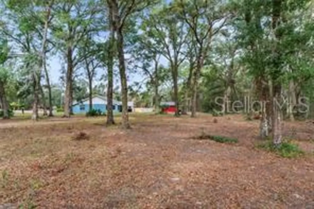 5250 Little Green Lane Dade City FL 33523