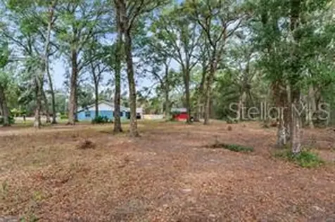 5250 Little Green Lane Dade City FL 33523