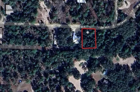 NE 50 Place Williston FL 32696