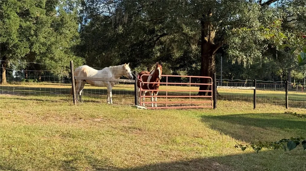41030 Oak Grove Road Weirsdale FL 32195
