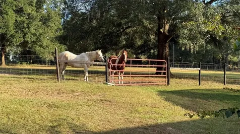 41030 Oak Grove Road Weirsdale FL 32195