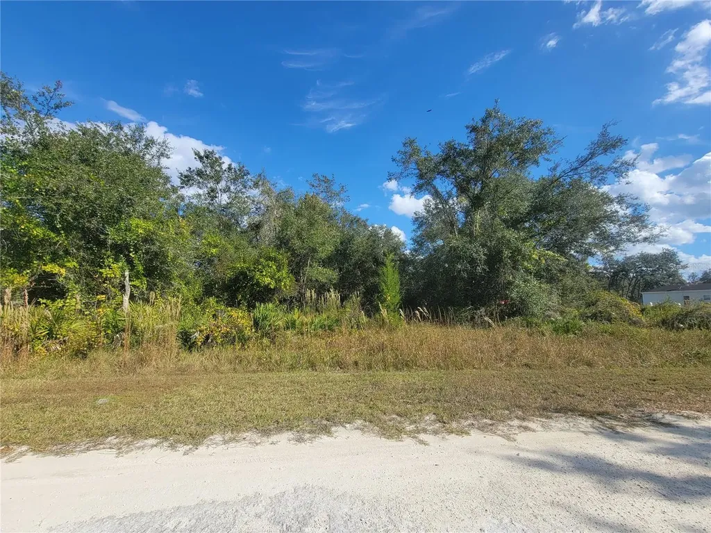 9460 Rousseau Street Webster FL 33597