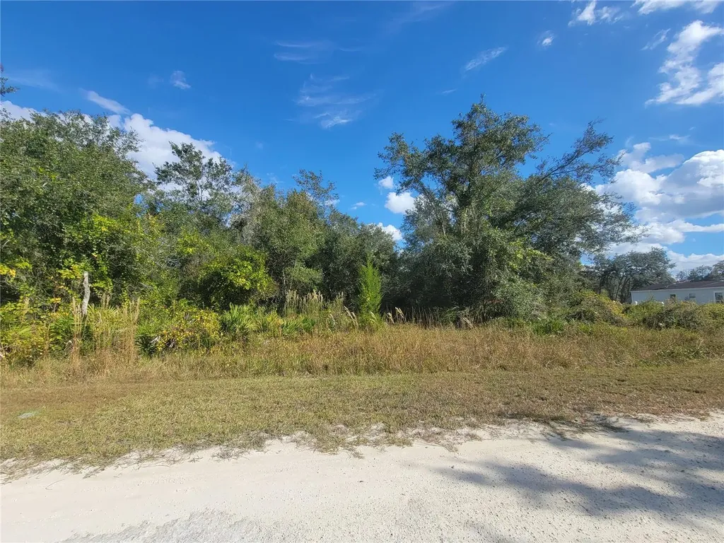 9460 Rousseau Street Webster FL 33597