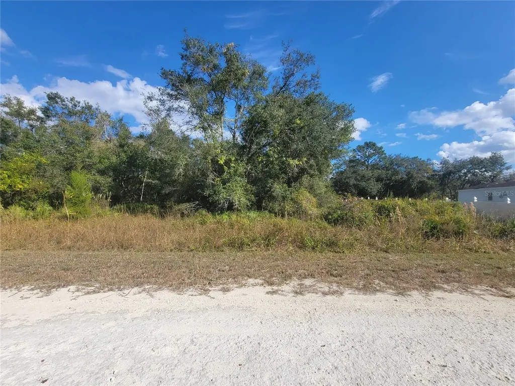 9460 Rousseau Street Webster FL 33597