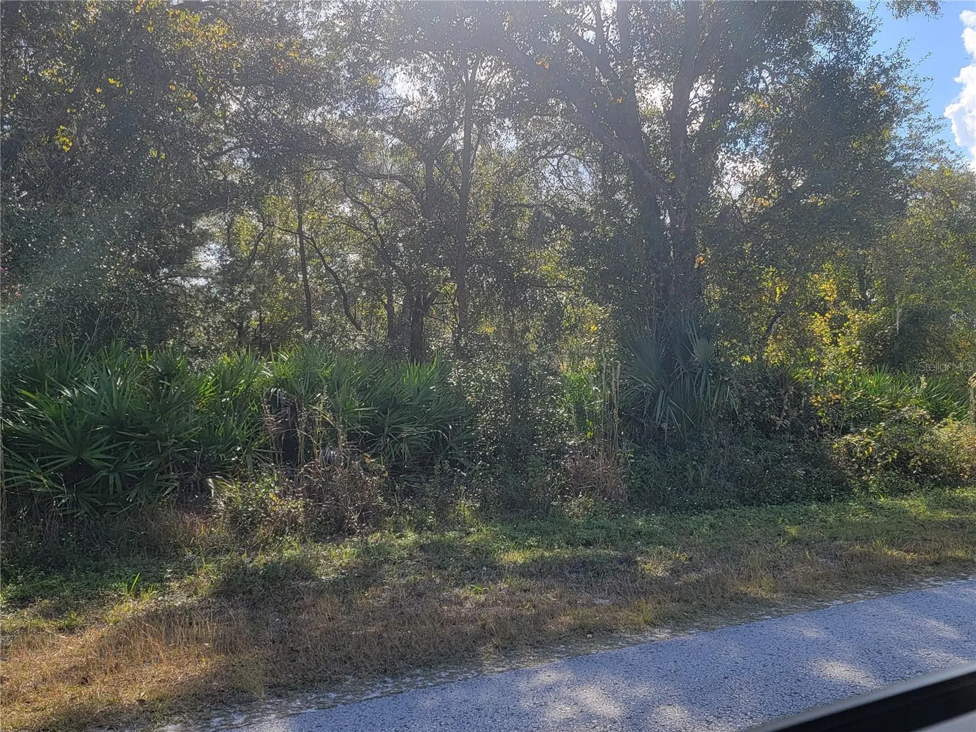 9460 Rousseau Street Webster FL 33597