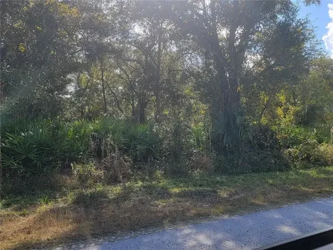 9460 Rousseau Street Webster FL 33597