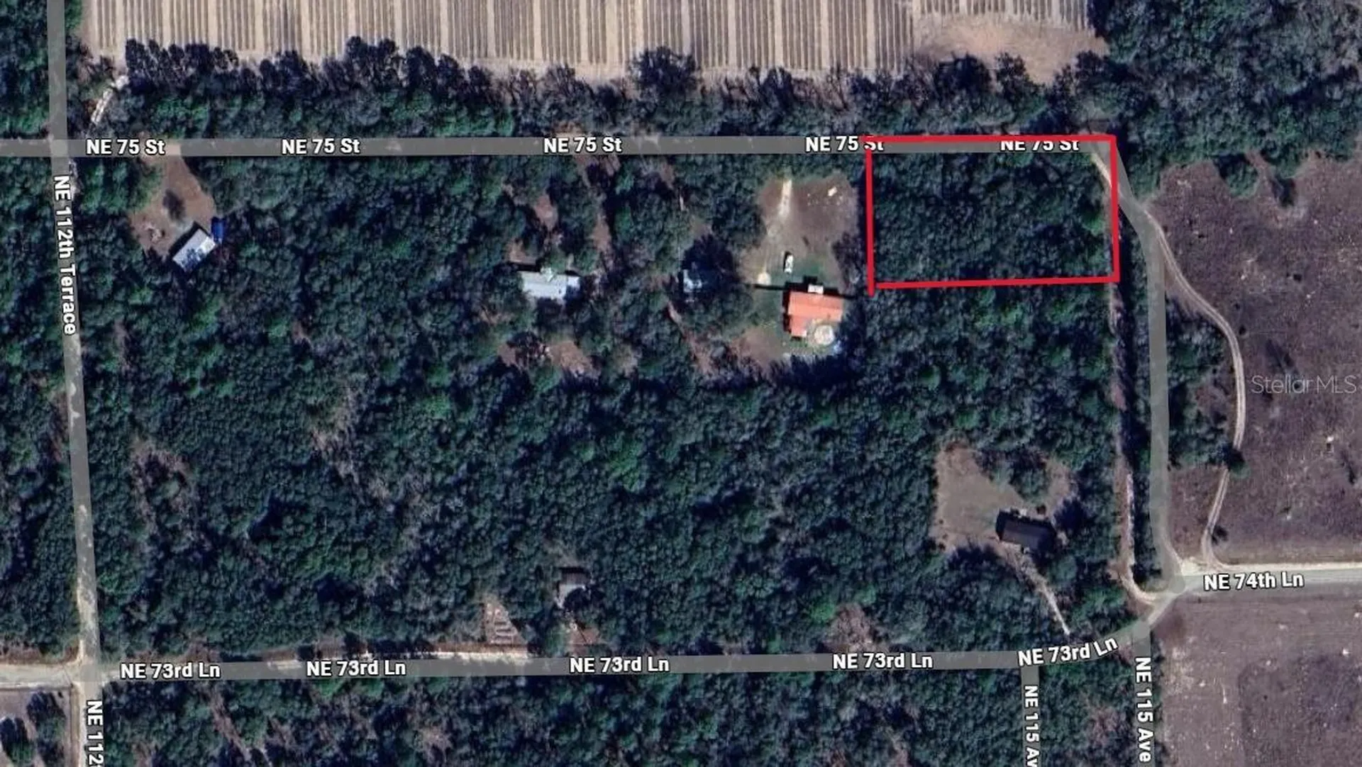 NE 75 Street Williston FL 32696