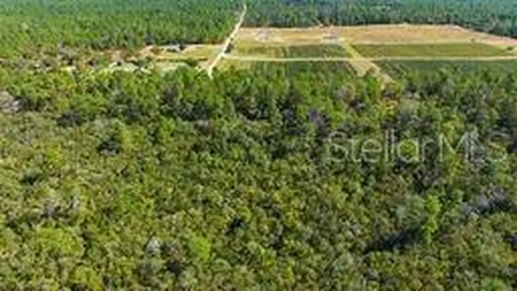 9478 N Timber Creek Terrace Dunnellon FL 34433