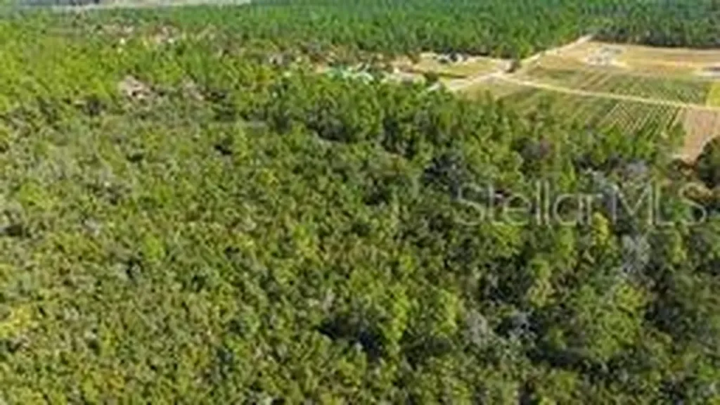 9478 N Timber Creek Terrace Dunnellon FL 34433