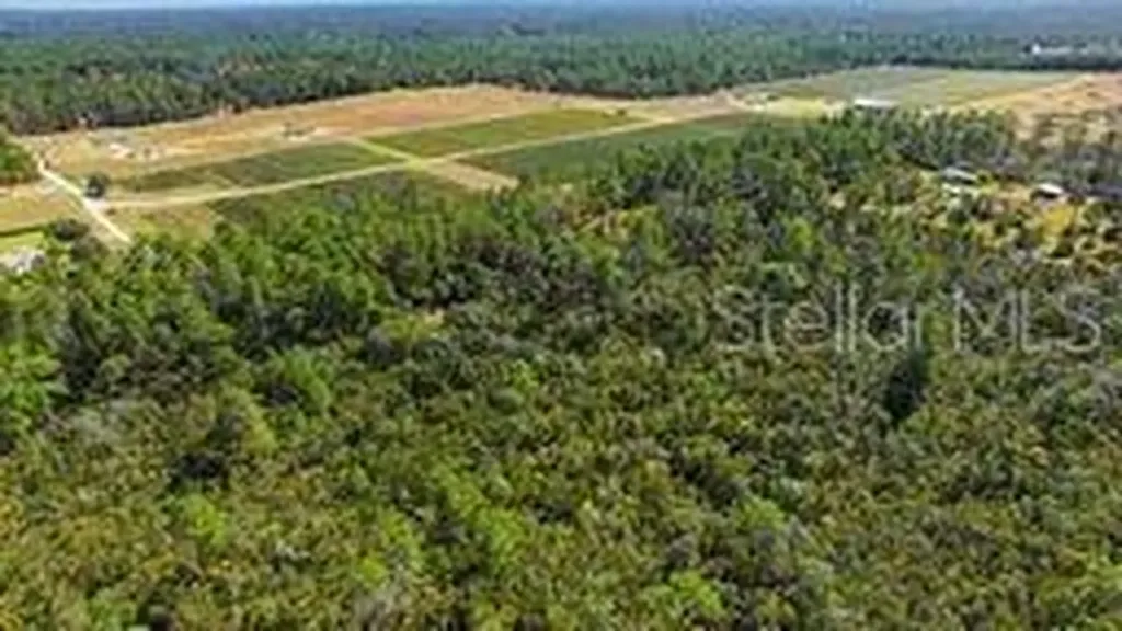 9478 N Timber Creek Terrace Dunnellon FL 34433