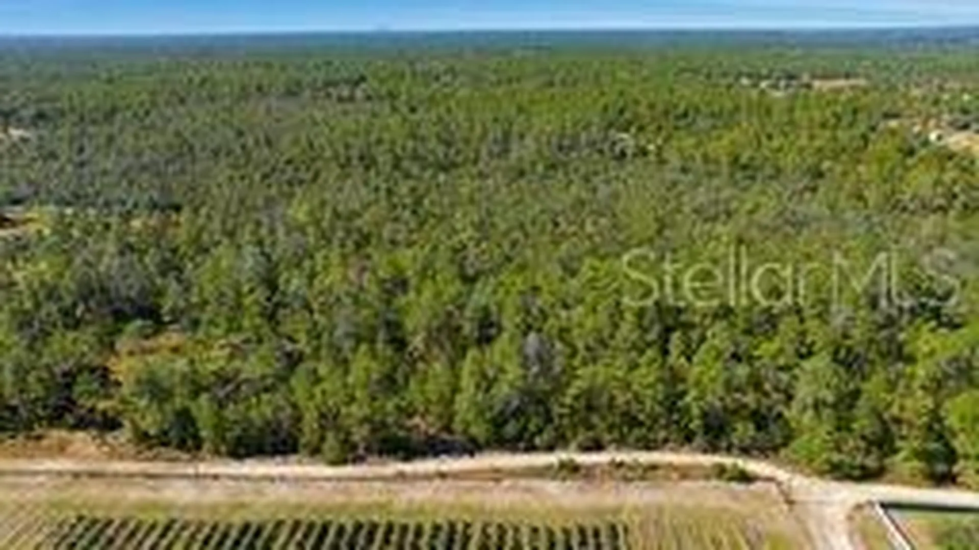 9478 N Timber Creek Terrace Dunnellon FL 34433