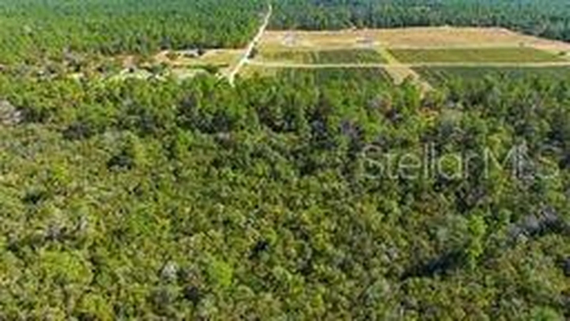 9478 N Timber Creek Terrace Dunnellon FL 34433
