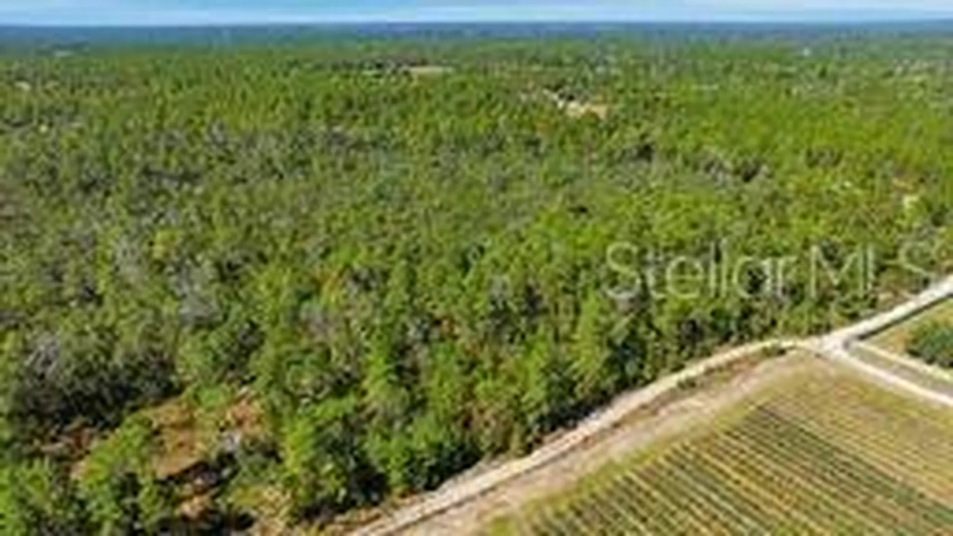 9478 N Timber Creek Terrace Dunnellon FL 34433