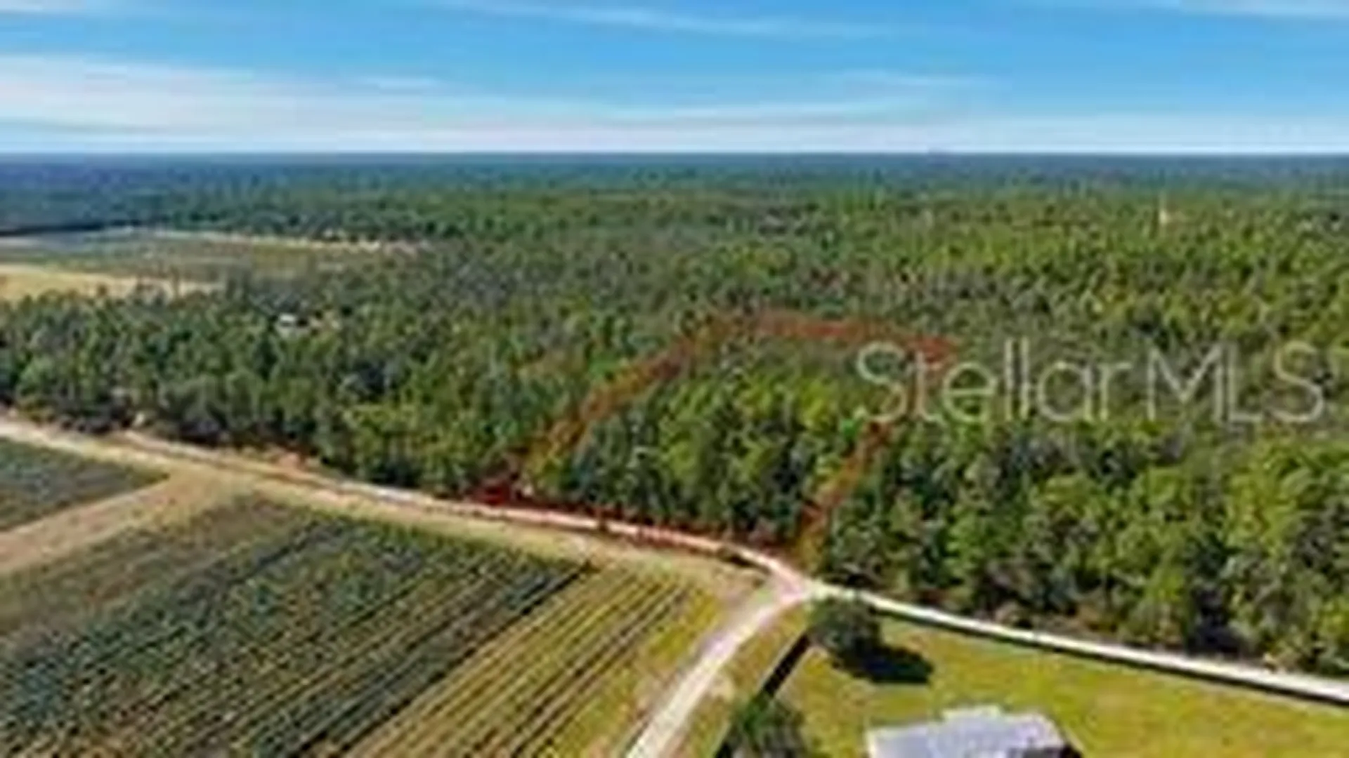 9478 N Timber Creek Terrace Dunnellon FL 34433
