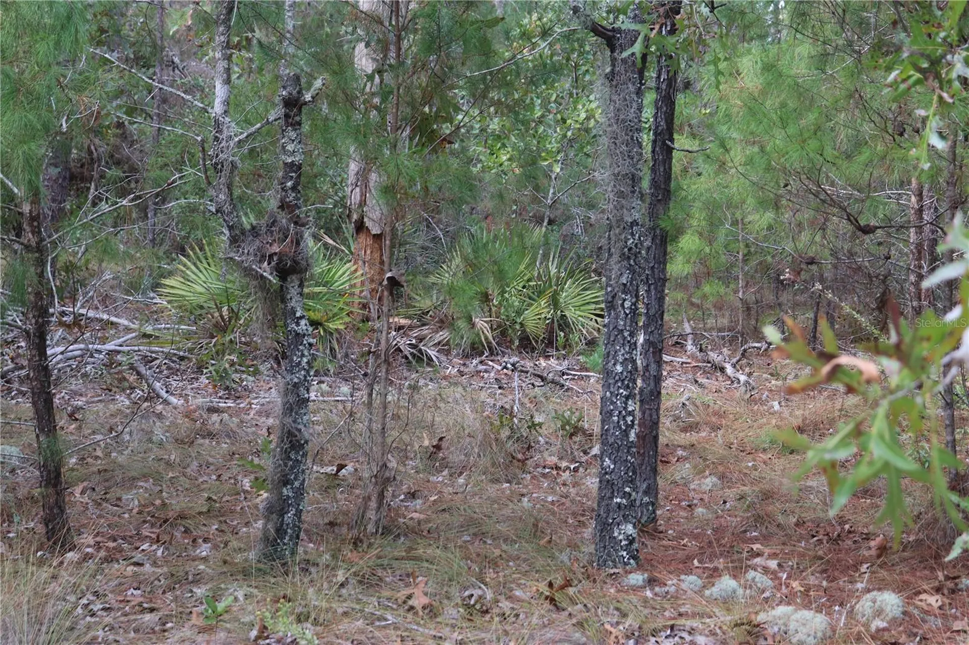 9478 N Timber Creek Terrace Dunnellon FL 34433