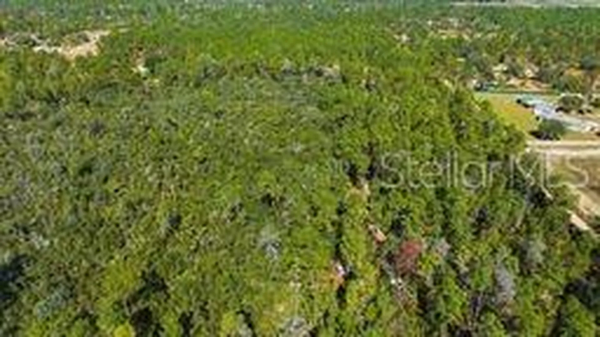 9478 N Timber Creek Terrace Dunnellon FL 34433