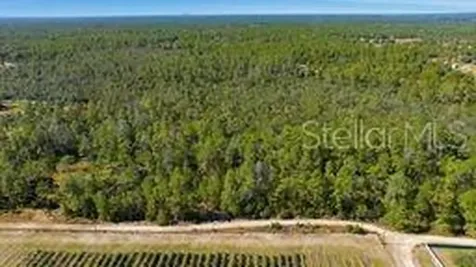9478 N Timber Creek Terrace Dunnellon FL 34433