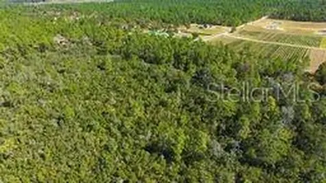 9478 N Timber Creek Terrace Dunnellon FL 34433