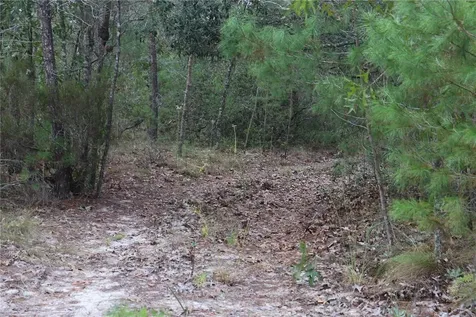 9478 N Timber Creek Terrace Dunnellon FL 34433