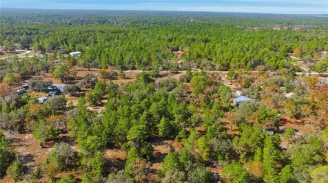 9478 N Timber Creek Terrace Dunnellon FL 34433