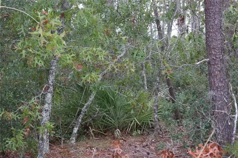 9478 N Timber Creek Terrace Dunnellon FL 34433