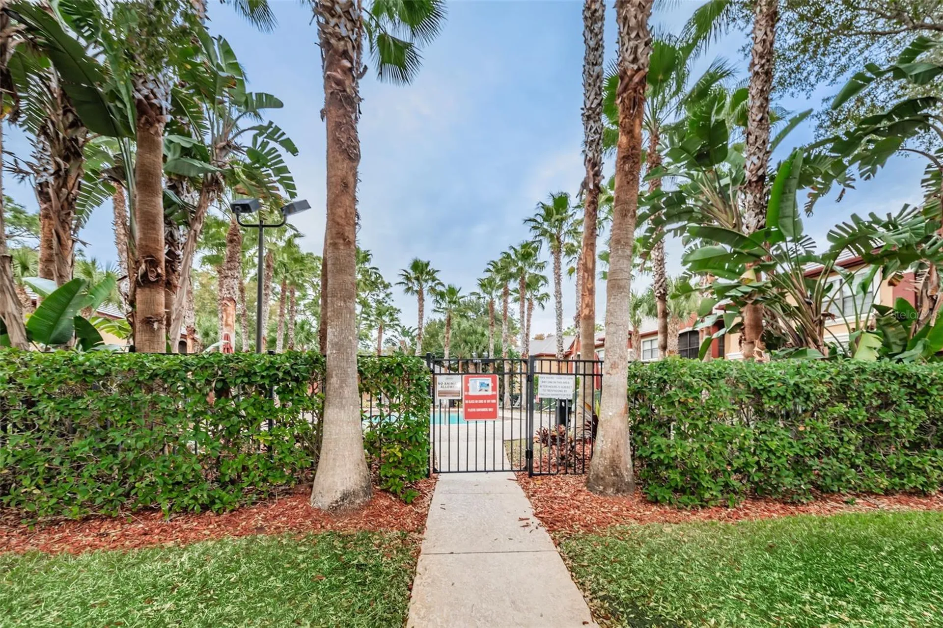 2254 Chianti Place Palm Harbor FL 34683