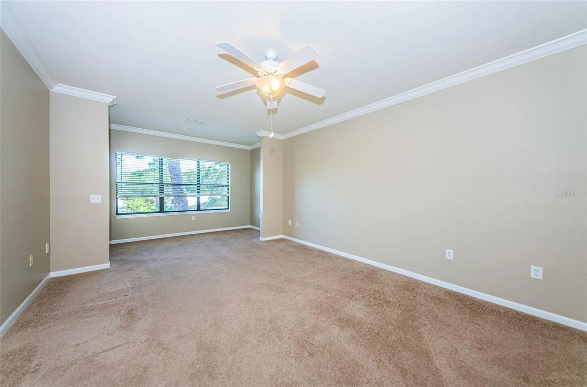 2254 Chianti Place Palm Harbor FL 34683