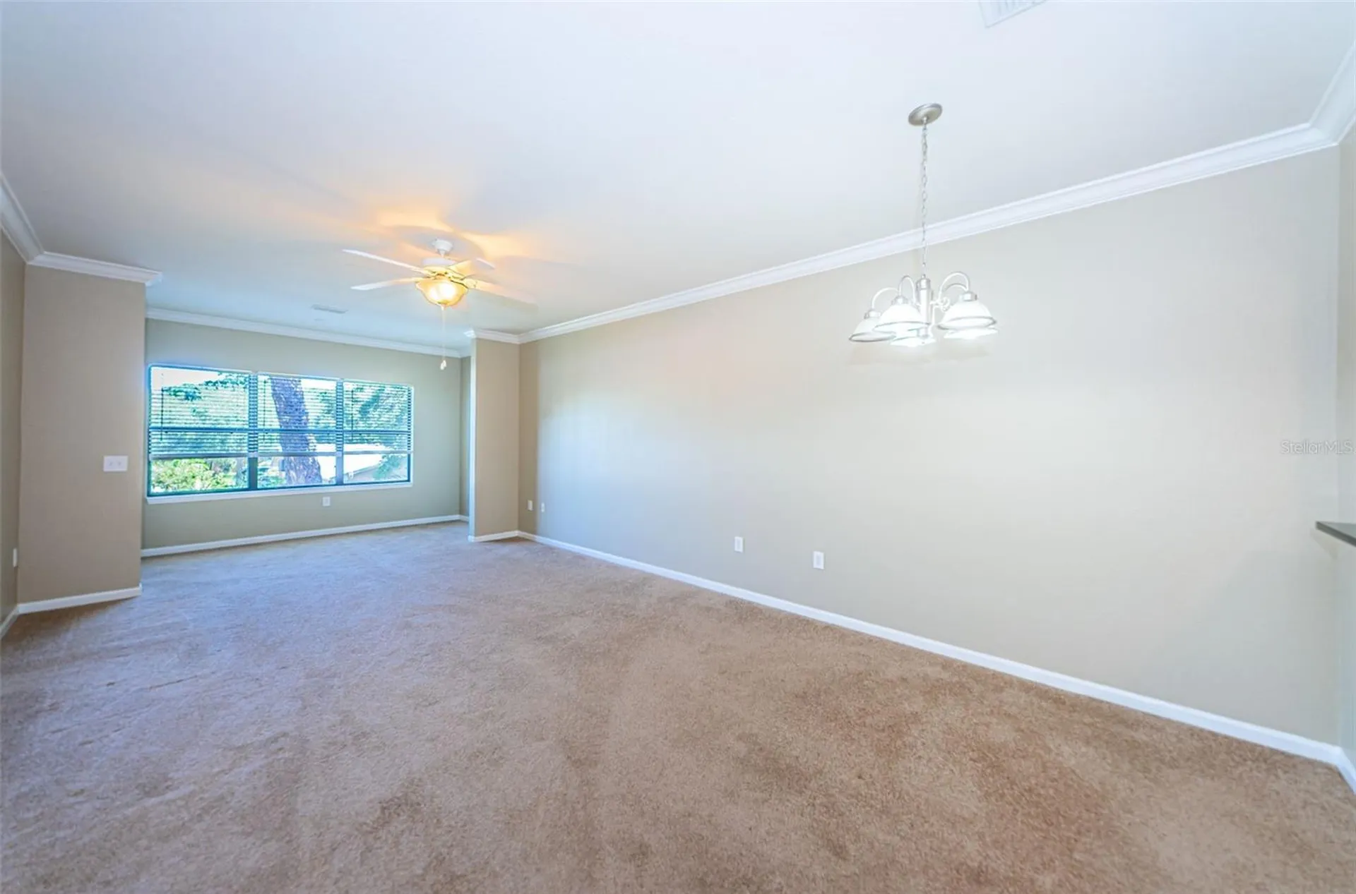 2254 Chianti Place Palm Harbor FL 34683
