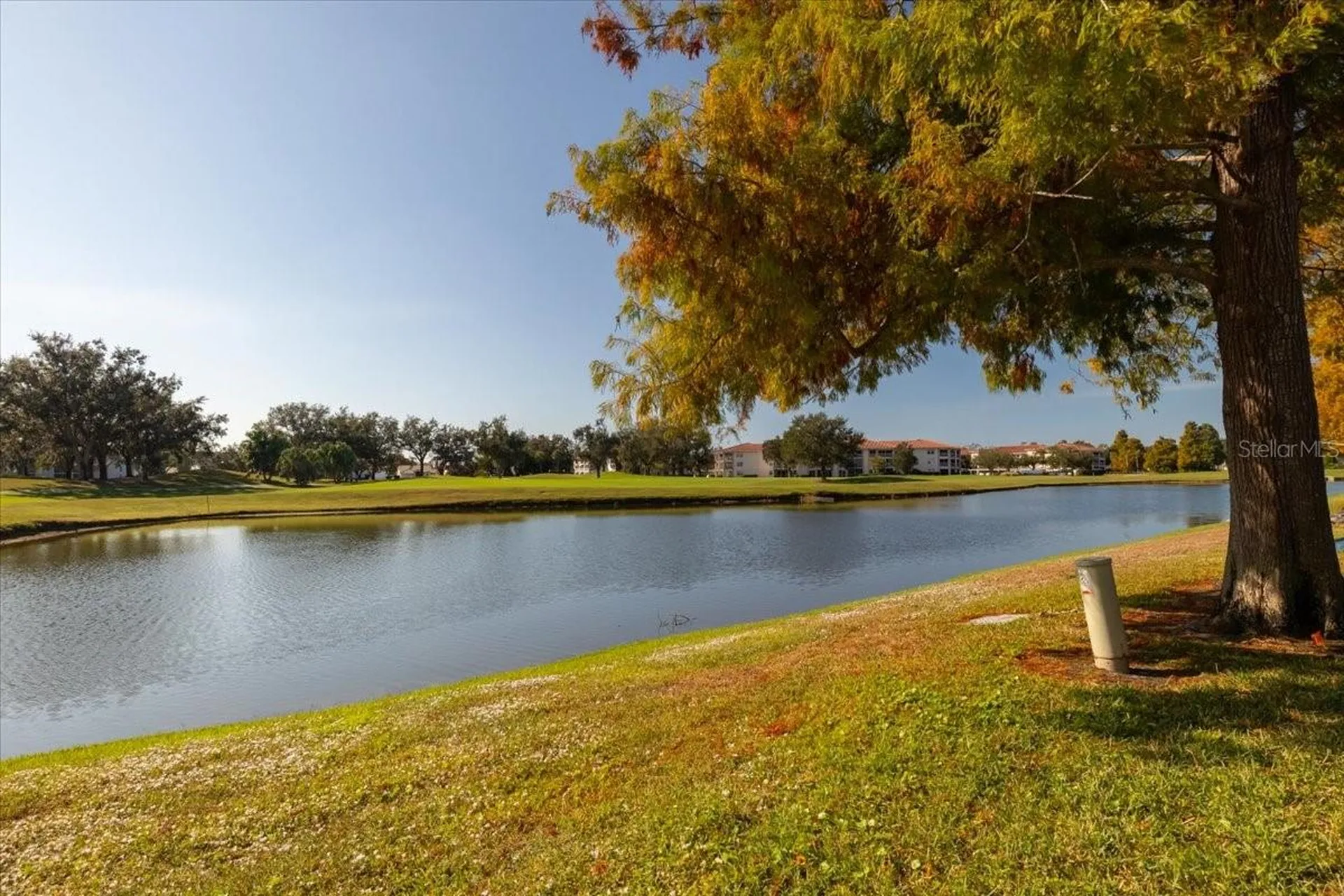 6640 Pineview Terrace Bradenton FL 34203