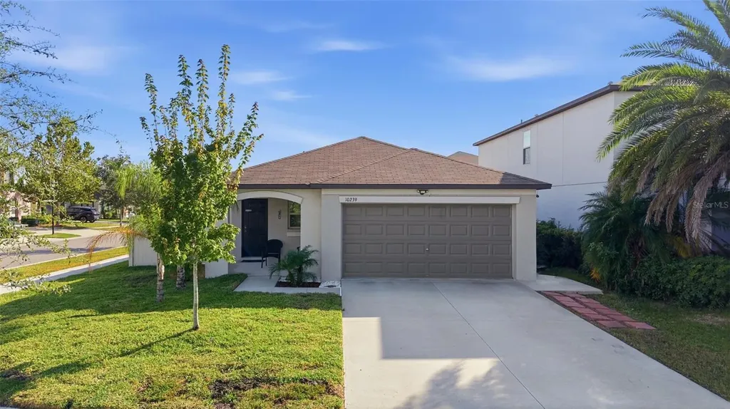 10239 Bright Crystal Avenue Riverview FL 33578