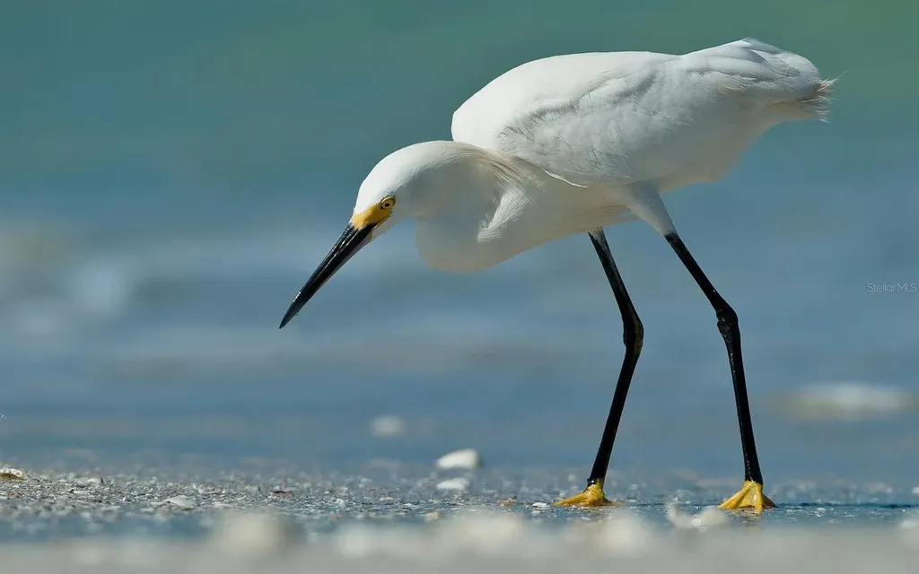 2955 N Beach Road Englewood FL 34223