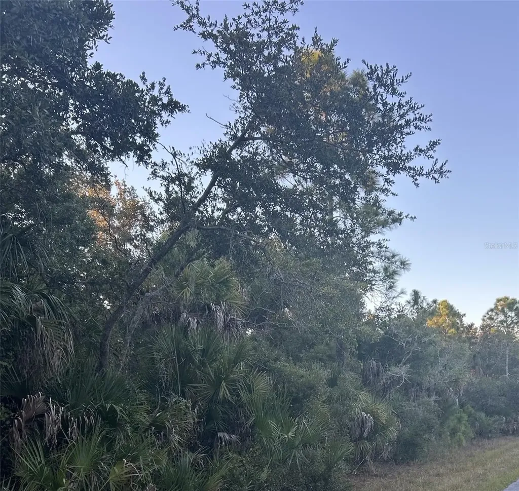 23391 Buckner Avenue Port Charlotte FL 33980