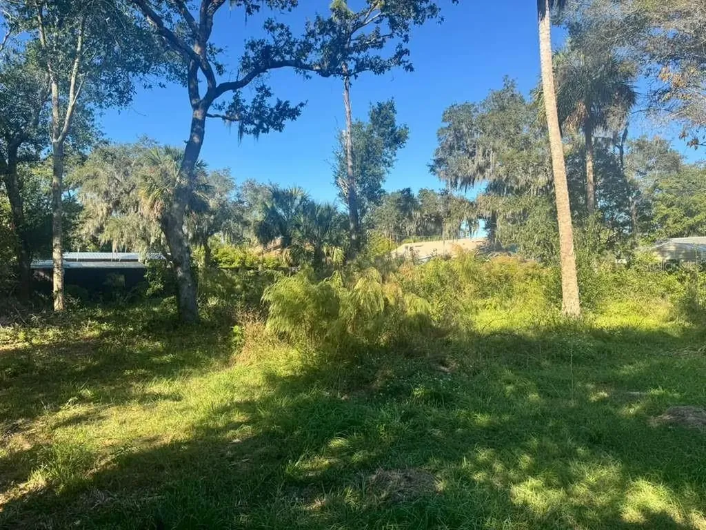 5841 Boggs Ford Road Port Orange FL 32127