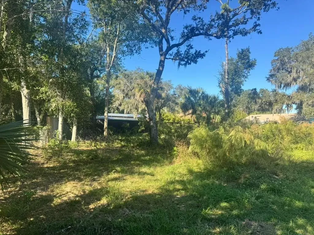 5841 Boggs Ford Road Port Orange FL 32127