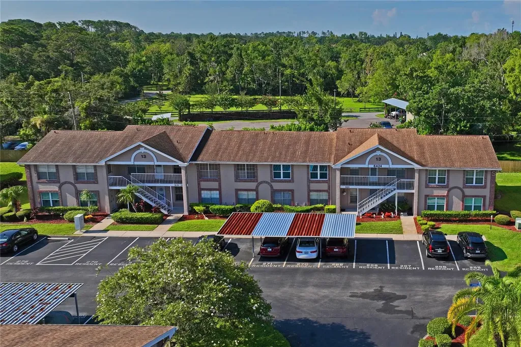 6424 Spring Flower Drive New Port Richey FL 34653