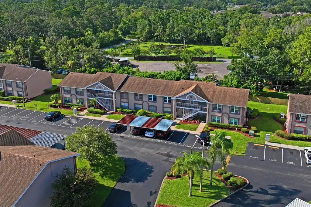 6424 Spring Flower Drive New Port Richey FL 34653
