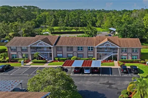 6424 Spring Flower Drive New Port Richey FL 34653