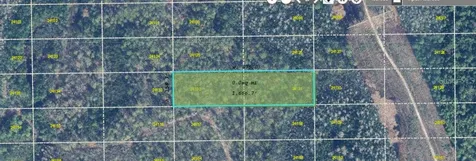 Dill Road Orlando FL 32820