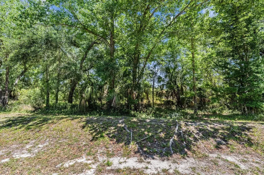 4522 Winding River Way Land O Lakes FL 34639