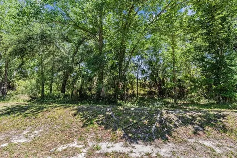 4522 Winding River Way Land O Lakes FL 34639