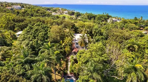 Carr. 413 Int. Km 4 The Jungle Rincon PR 00677