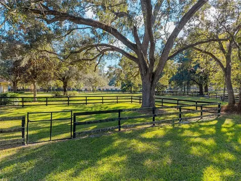 7509 SW 93rd Street Road Ocala FL 34476