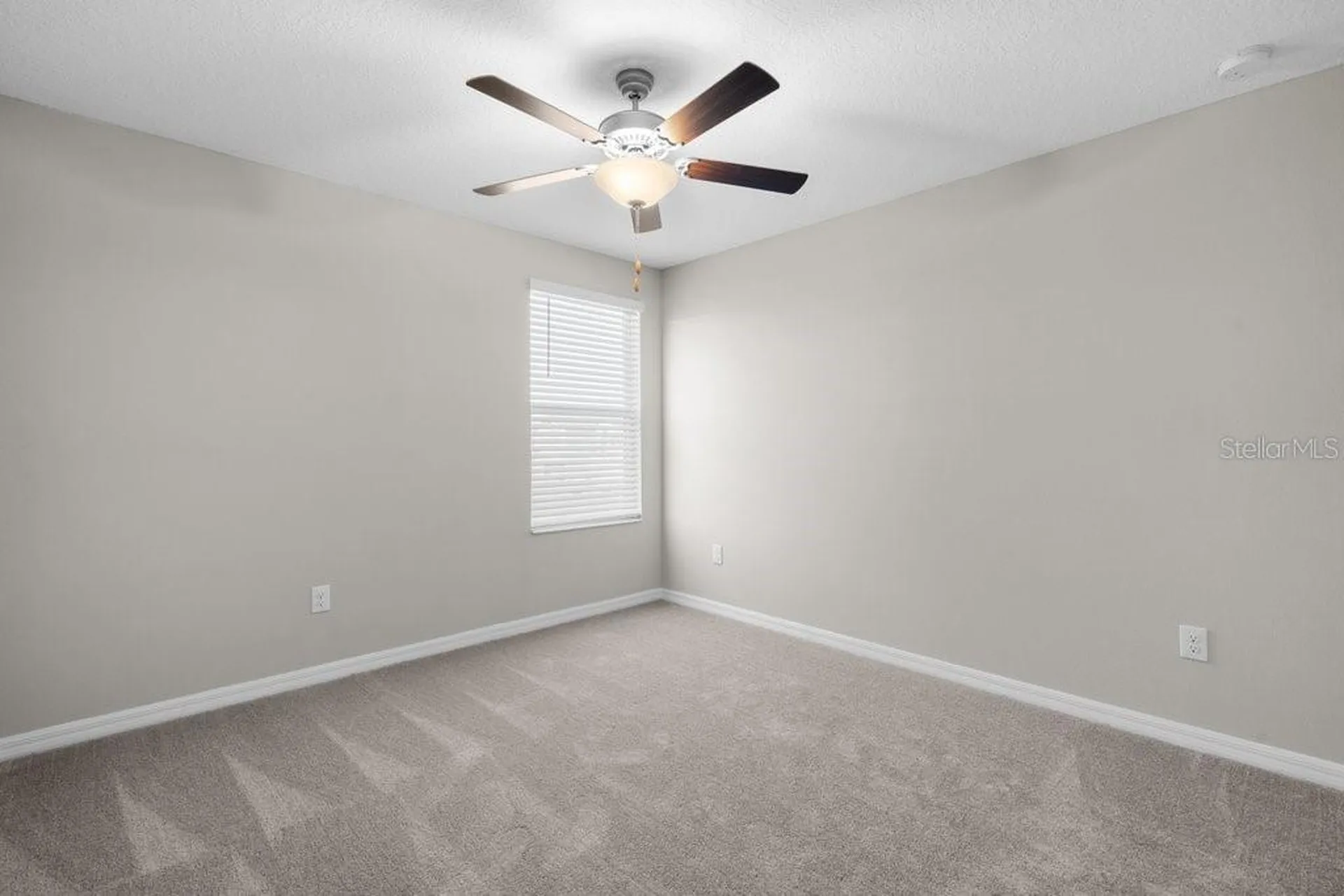 7227 Ronnie Gardens Court Tampa FL 33619